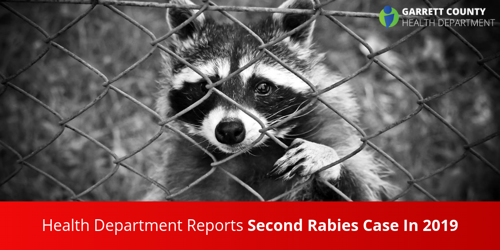 Health Department Reports Second Rabies Case In 2019
