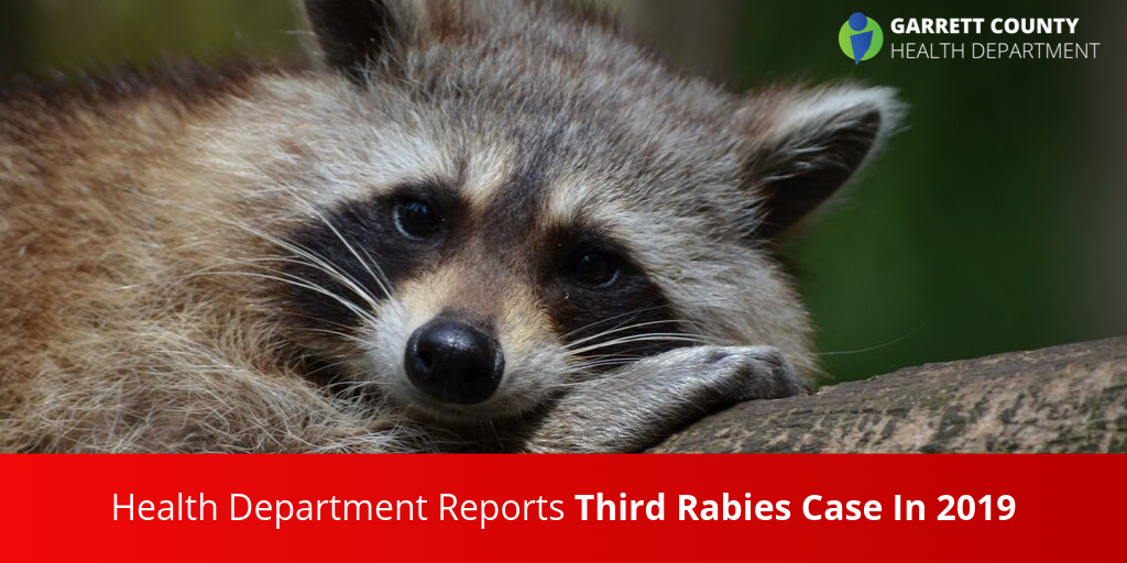 Health Department Reports Third Rabies Case In 2019 - Garrett County