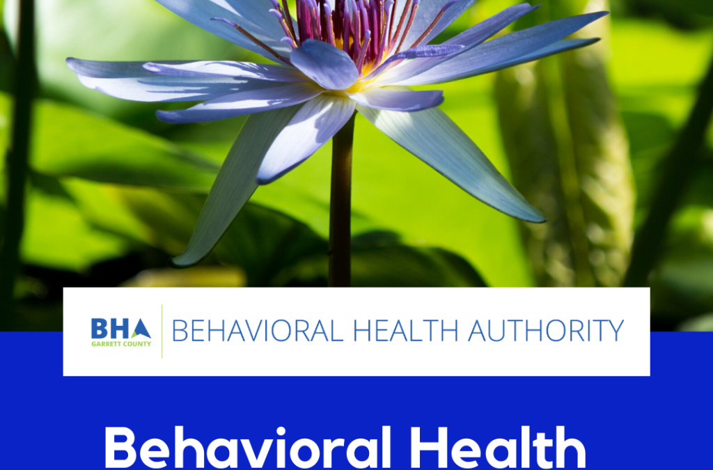 NEW! – Updated Garrett County Behavioral Health Provider Guide Available