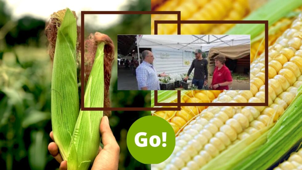 It’s Farmers’ Market Week on Go! Garrett County! Explore the Mountain Fresh Farmers’ Market w/ Thomas & Enter to Win a FREE Veggie Box From Garrett Growers! – Farmers’ Market Week Day 3 – Corn & Fresh Vegetables for Healthy Meals