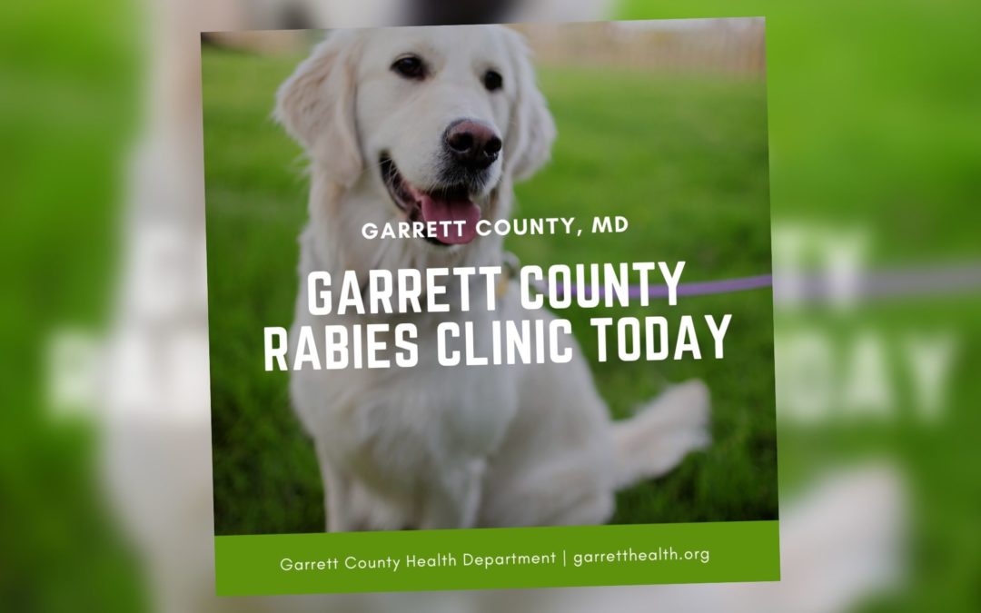 REMINDER: Rabies Clinic Today > Click for Details