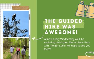 Featured Today on Go! Garrett County: Eagle Sighting @ Herrington Manor on the Guided Hike!