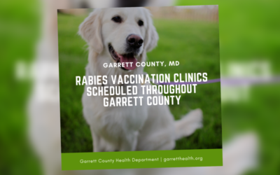 Health Department Announces Last Low Cost Rabies Clinics for 2022