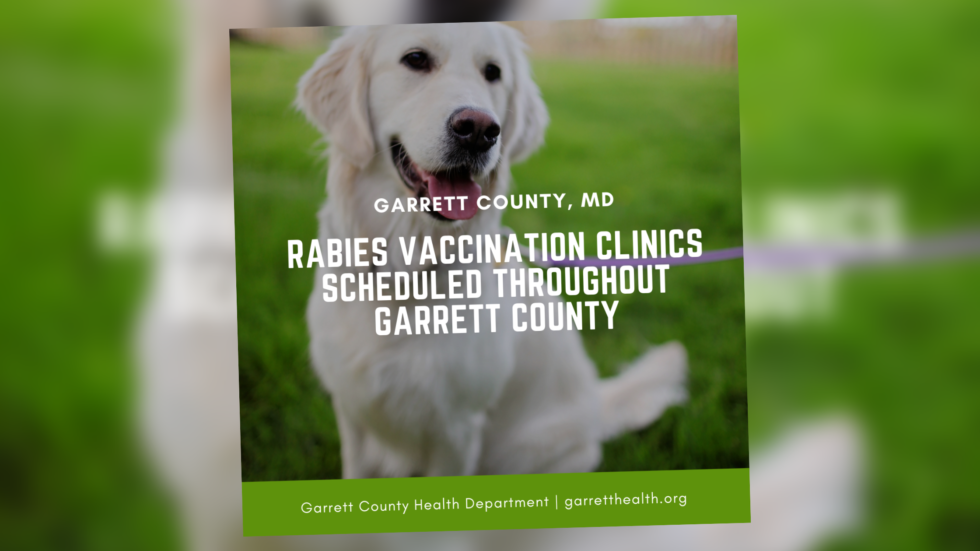 Health Department Announces Last Low Cost Rabies Clinics for 2022
