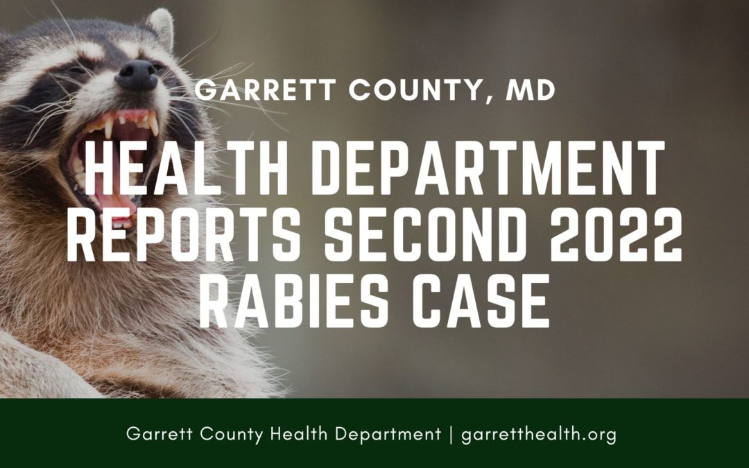 Health Department Reports Second 2022 Rabies Case – #GCEHAug2022