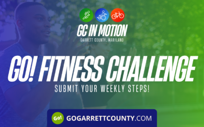 Go! Fitness Challenge: It’s Time To Submit Your Steps/Activity For Last Week! (2/6-2/10)