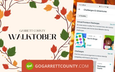 Walktober Day 2 – Creating Fitbit Challenges