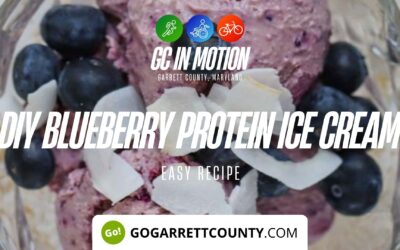 Featured Today on Go! Garrett County: DIY Blueberry PROTEIN Ice Cream Recipe – Healthier Swaps Series