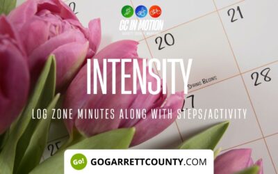 Featured Today on Go! Garrett County: Spring Begins Today!