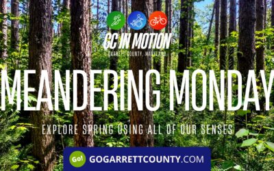 Featured Today on Go! Garrett County: Meandering Monday Guided Hike