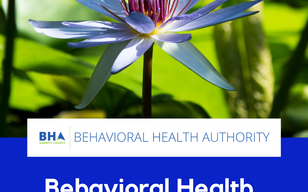 Garrett County Behavioral Health Provider Guide Updated – 6/28/2023