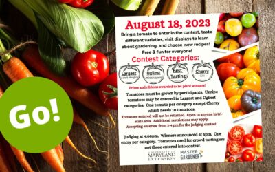 Featured Today on Go! Garrett County: Free Community Event – Tomato Festival!