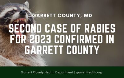 Second Case of Rabies for 2023 Confirmed in Garrett County