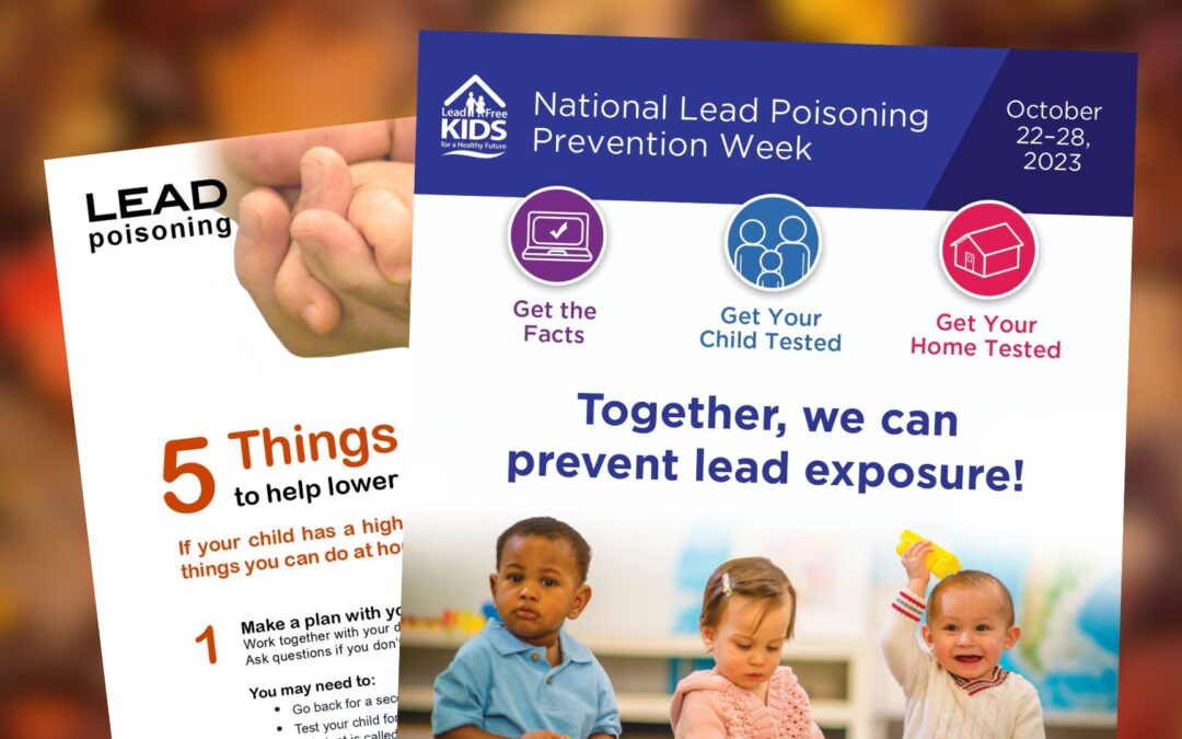 Lead Poisoning Flyers