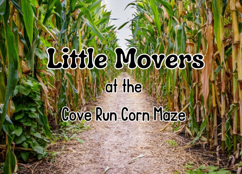 Garrett County Health Department’s Early Care Programs “Little Movers” Explored New Adventures In September (VIDEO)