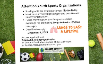 REMINDER: Attention Youth Sports Organizations: Small Grants Available to Promote Lungs to Last a Lifetime! (Hurry, Applications Close December 1st!)