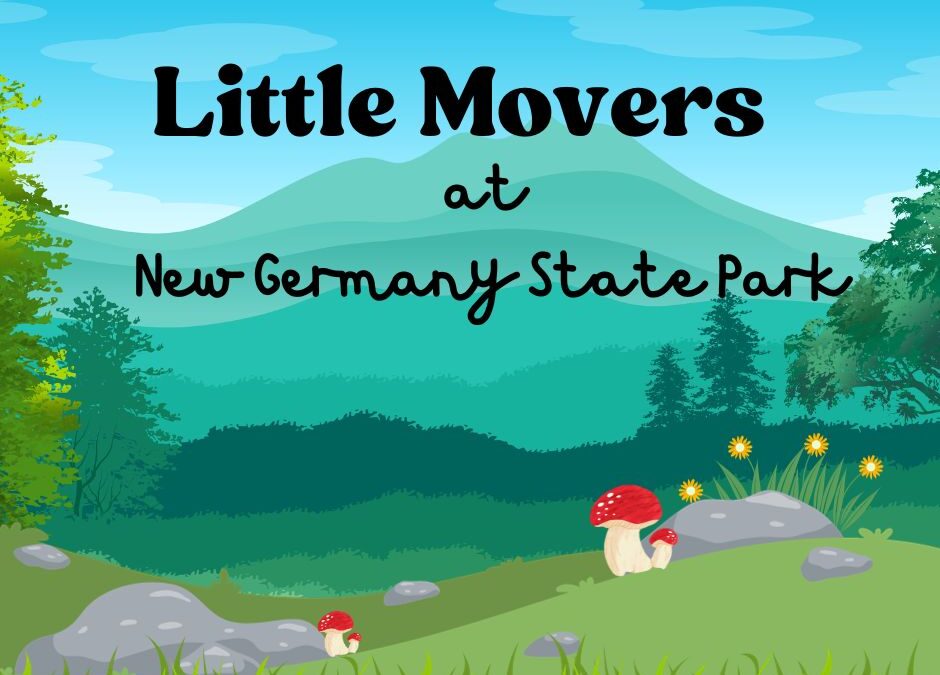 Little Movers Banner