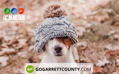 Featured Today on Go! Garrett County: Boost Your Mood On This Sunny Day!