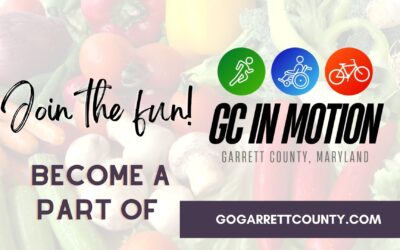 Featured Today on Go! Garrett County: Celebrating Our Heart Health In February With Recipes & Fun! (+ More Ice Skating Tickets Added!)