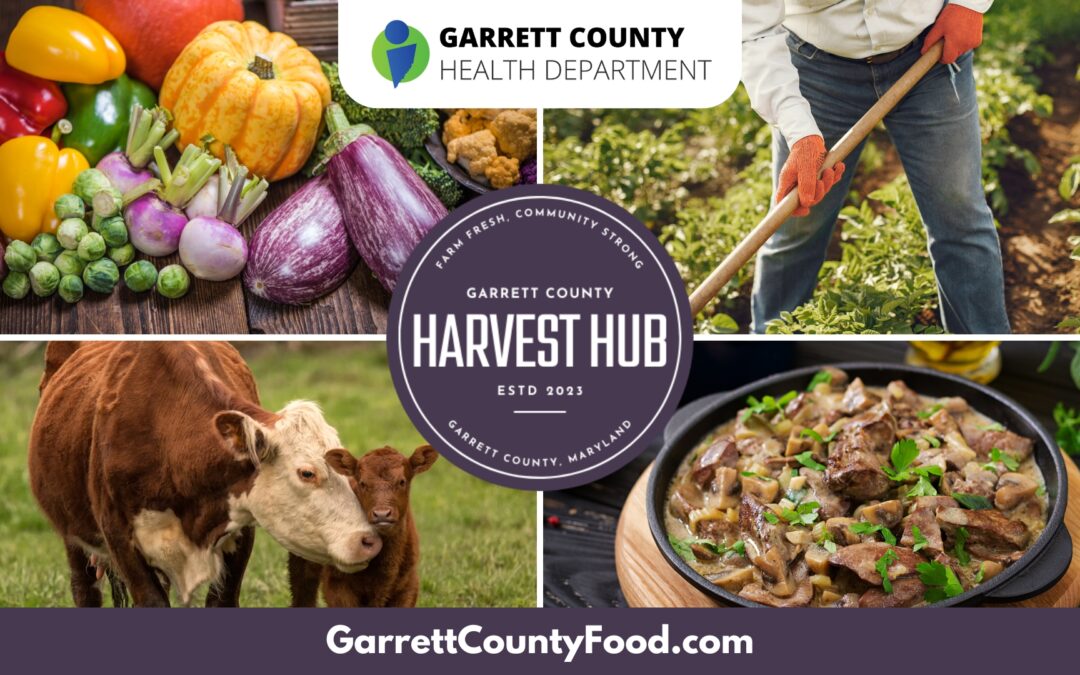 Featured Today On Go! Garrett County: Have You Heard About The Harvest Hub? (Community Feedback Opportunity!)