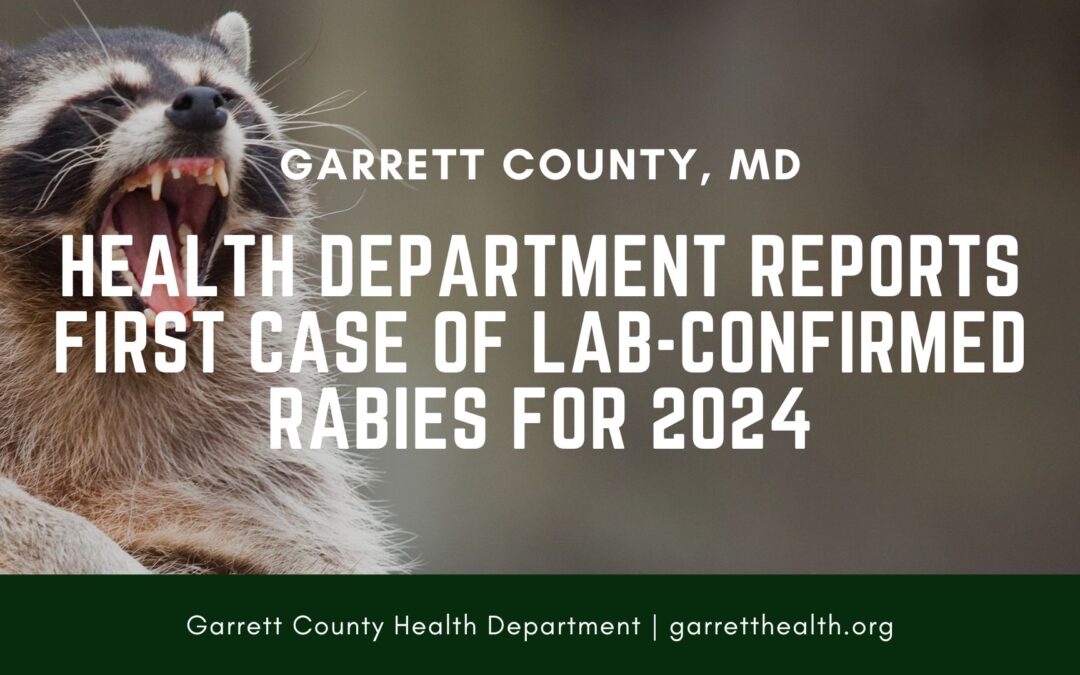 Health Department Reports First Case of Lab-Confirmed Rabies for 2024