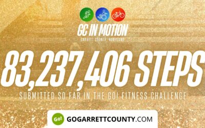 Featured Today on Go! Garrett County: 83 MILLION+ STEPS/ACTIVITY RECORDS! – Step/Activity Challenge Weekly Leaderboard – Week 74
