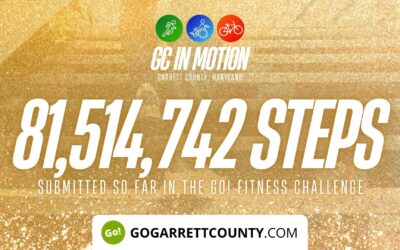 Featured Today on Go! Garrett County: 81 MILLION+ STEPS/ACTIVITY RECORDS! – Step/Activity Challenge Weekly Leaderboard – Week 72