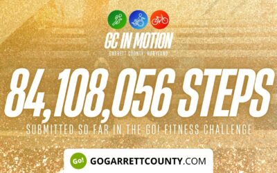 Featured Today on Go! Garrett County: 84 MILLION+ STEPS/ACTIVITY RECORDS! – Step/Activity Challenge Weekly Leaderboard – Week 75