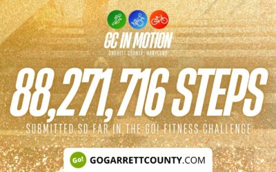 Featured Today on Go! Garrett County: 88 MILLION+ STEPS/ACTIVITY RECORDS! – Step/Activity Challenge Weekly Leaderboard – Week 79