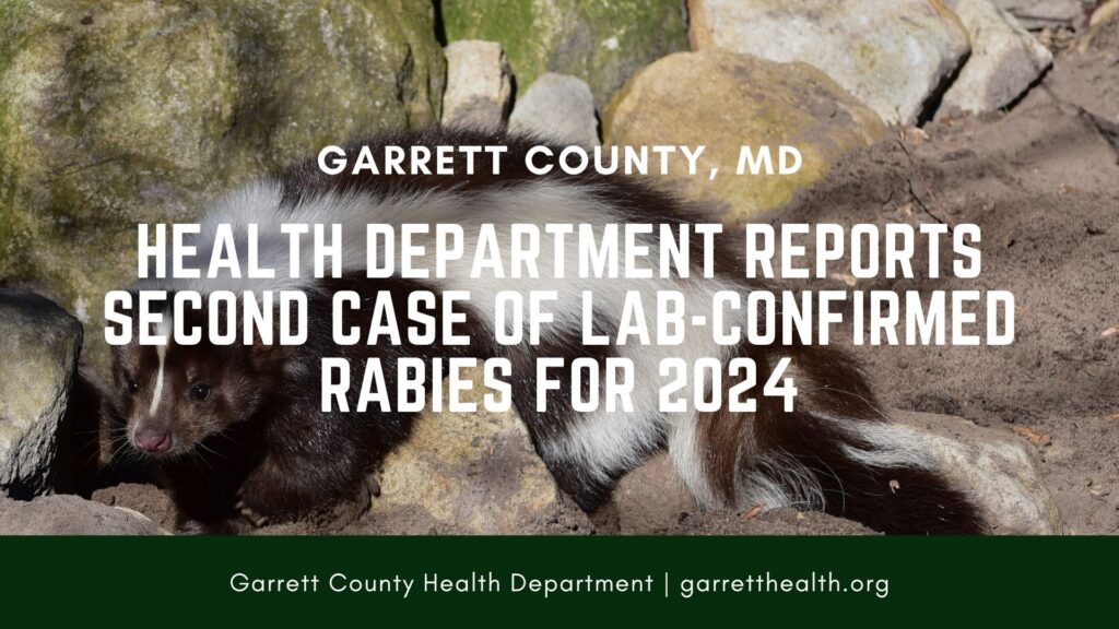 Rabies - 2nd Case