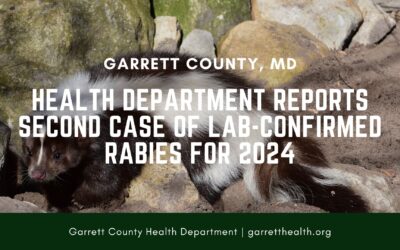 Health Department Reports Second Case of Lab-Confirmed Rabies for 2024 – Announces Low-Cost Rabies Clinics for 2024
