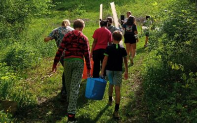 Partners After School Explore Farming and Forestry