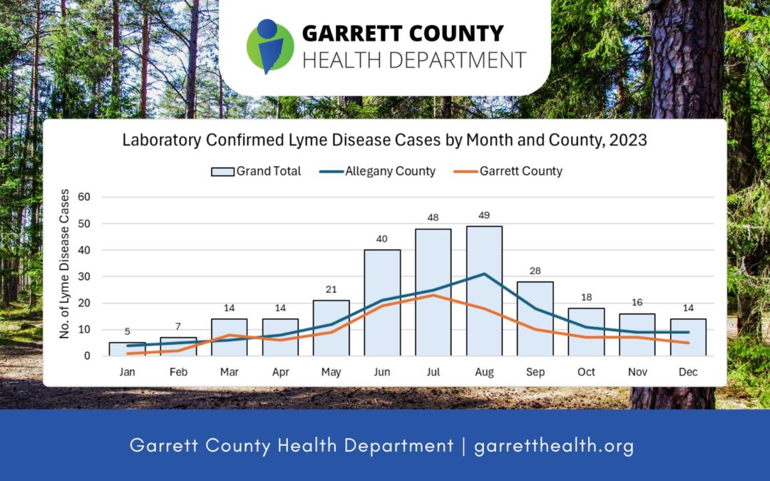 Lyme Disease is Transmitted Year-Round