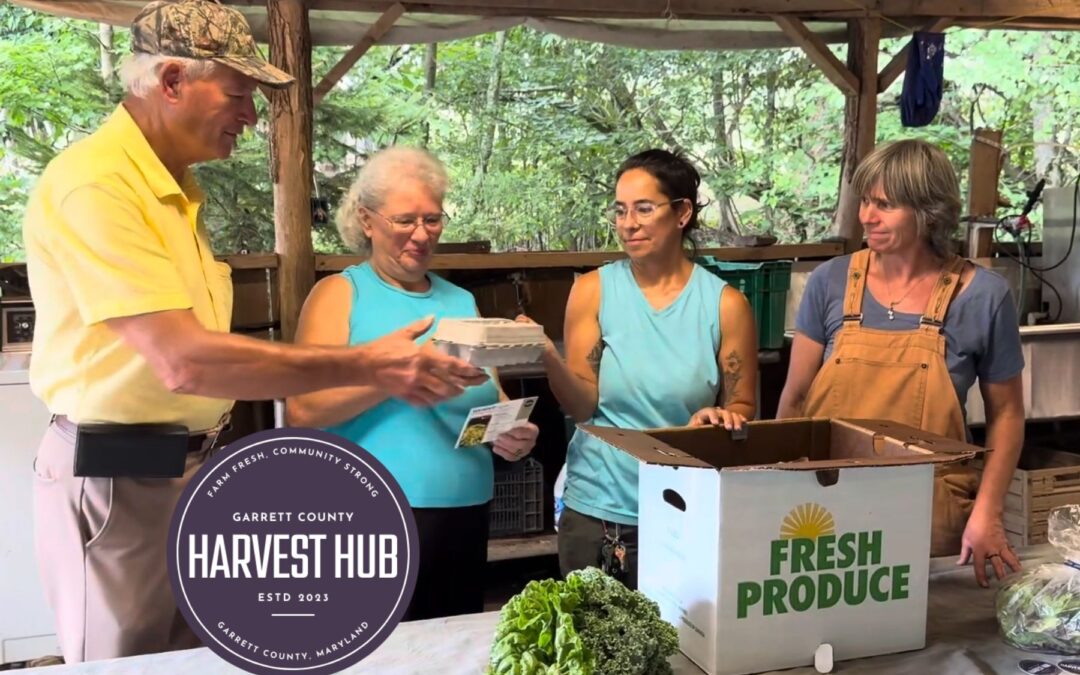 Featured Today on Go! Garrett County: Harvest Hub Box Number #1 Was A Huge Success!