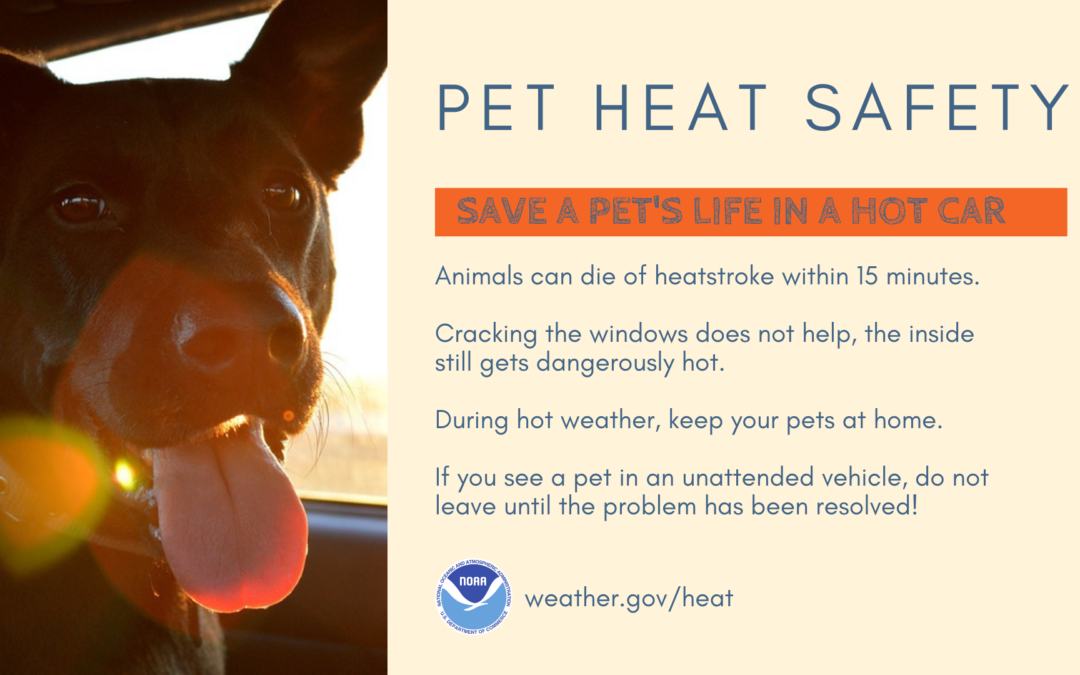 Pet Heat Safety