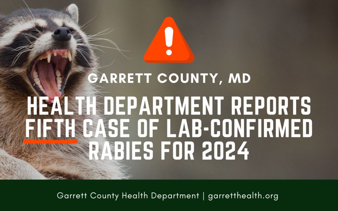 Health Department Reports Fifth Case of Lab-Confirmed Rabies for 2024