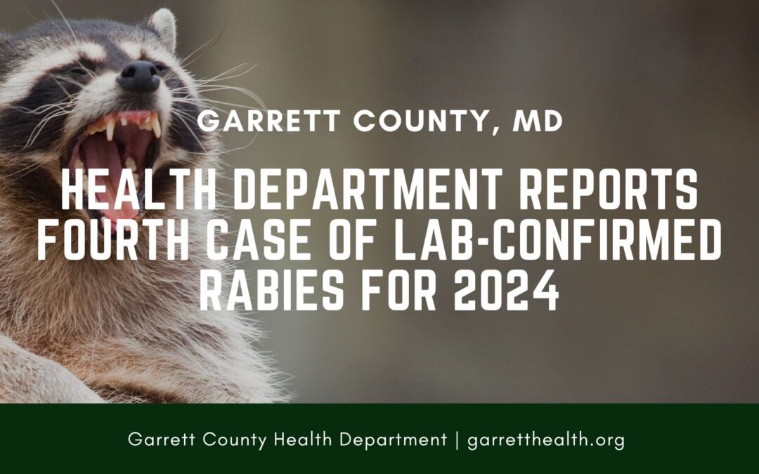 Health Department Reports Fourth Case of Lab-Confirmed Rabies for 2024