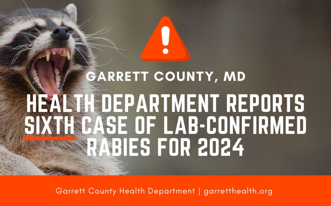 Health Department Reports Sixth Case of Lab-Confirmed Rabies for 2024