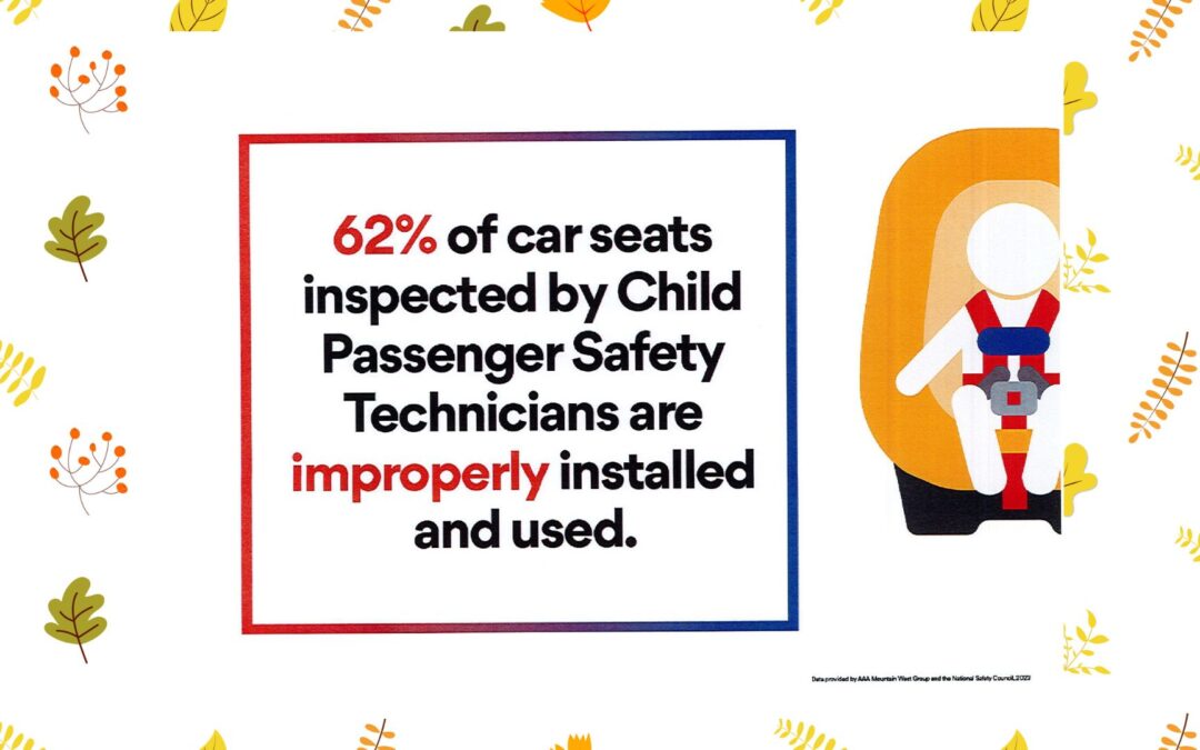 National child passenger safety best sale