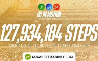 Featured Today on Go! Garrett County: 127 MILLION+ STEPS/ACTIVITY RECORDS! – Step/Activity Challenge Weekly Leaderboard – Week 114