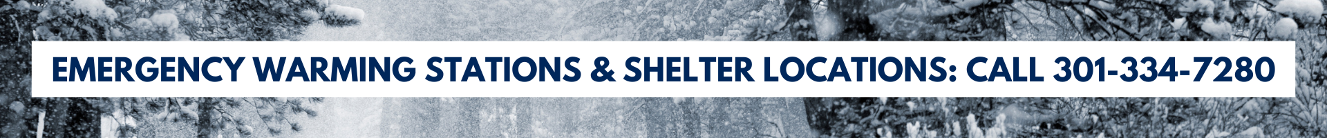 Shelter Banner