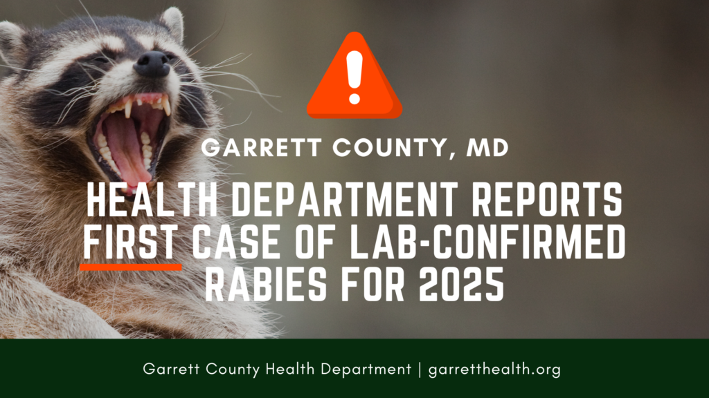 Rabies