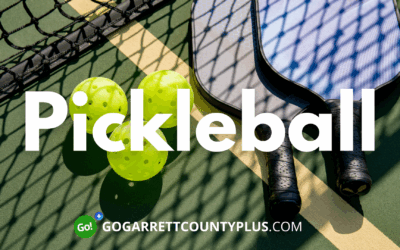 TODAY (5/16)! – Let’s Play Pickleball!
