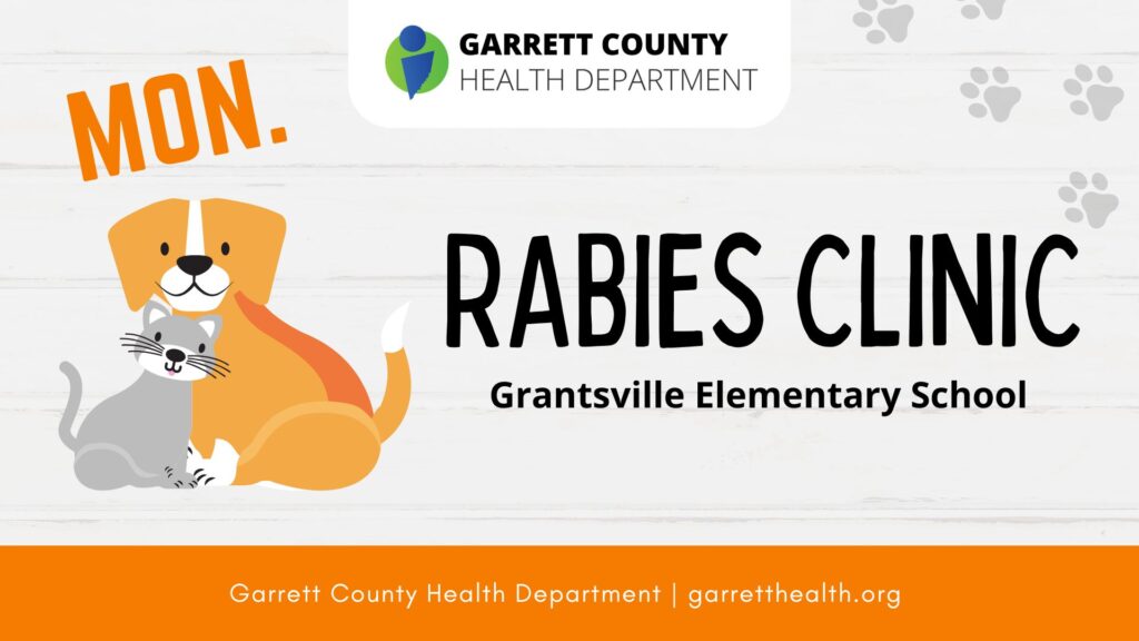 Rabies