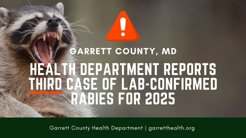 Rabies