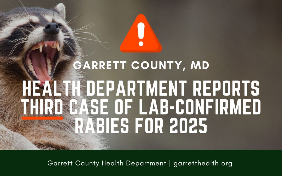 Rabies