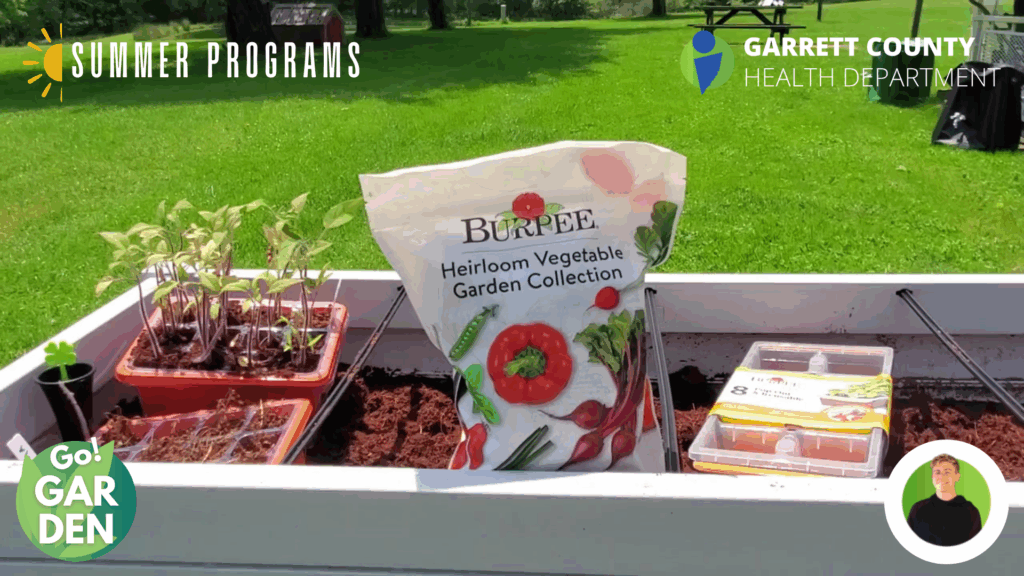 Go! Garden #1