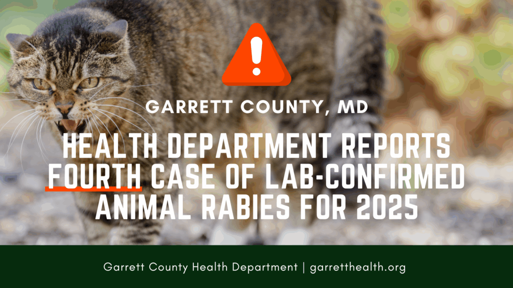 Rabies - 4th