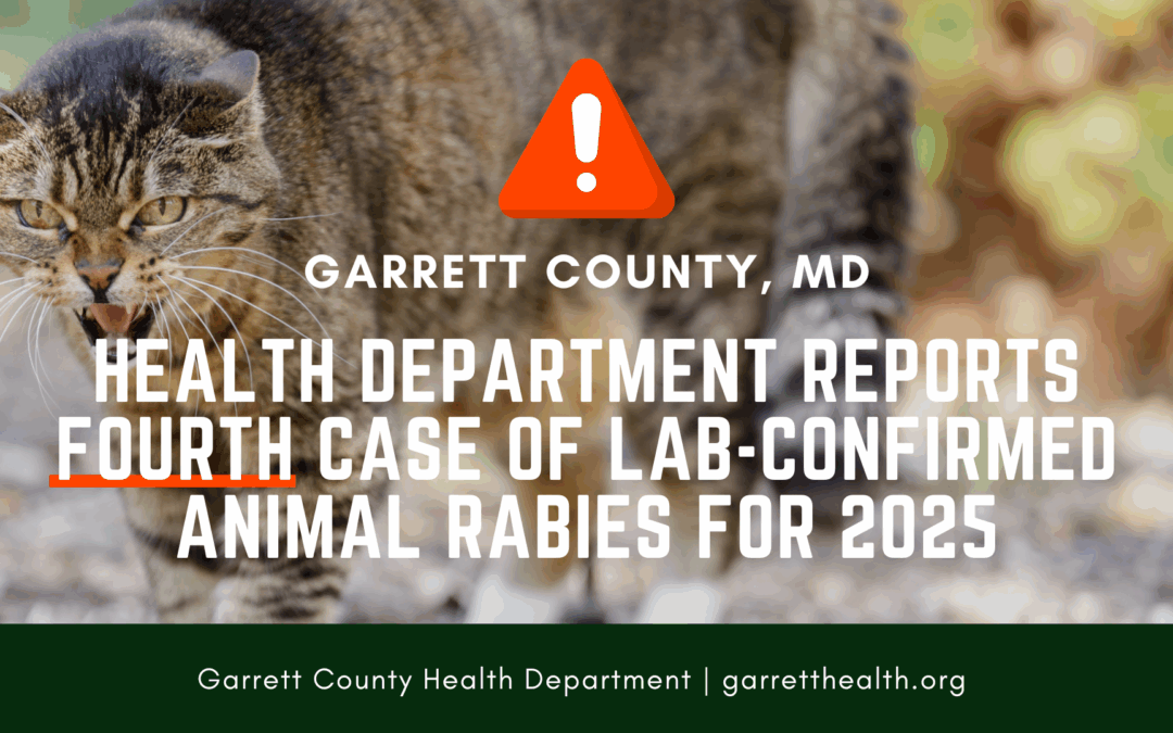 Rabies - 4th