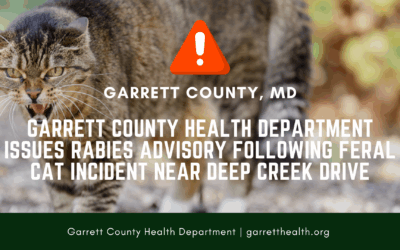 Garrett County Health Department Issues Rabies Advisory Following Feral Cat Incident Near Deep Creek Drive